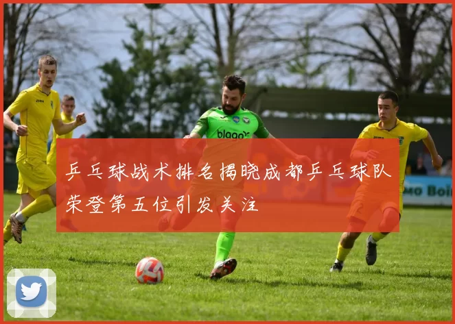 乒乓球战术排名揭晓成都乒乓球队荣登第五位引发关注