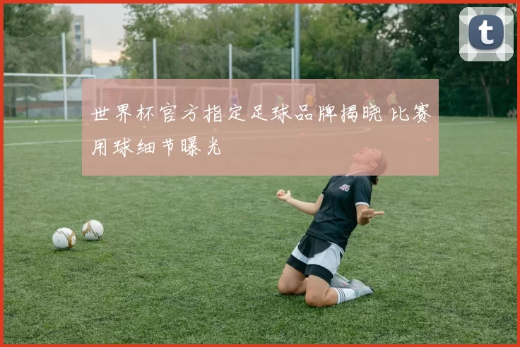 世界杯官方指定足球品牌揭晓 比赛用球细节曝光