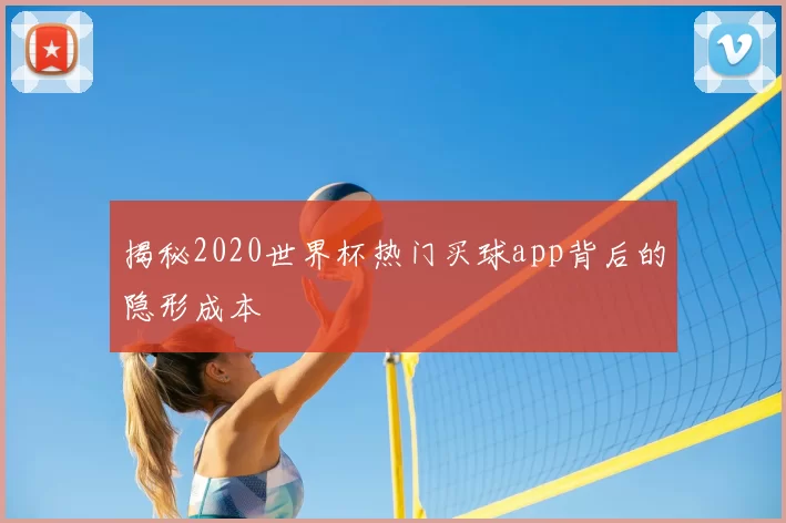 揭秘2020世界杯热门买球app背后的隐形成本