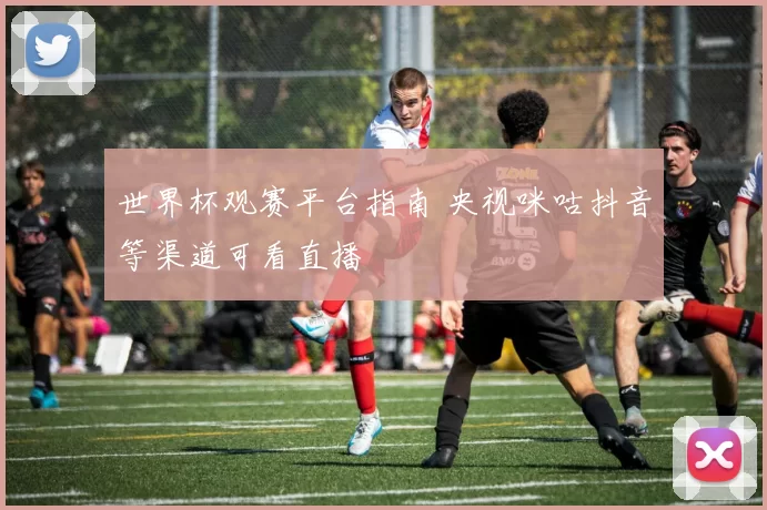 世界杯观赛平台指南 央视咪咕抖音等渠道可看直播