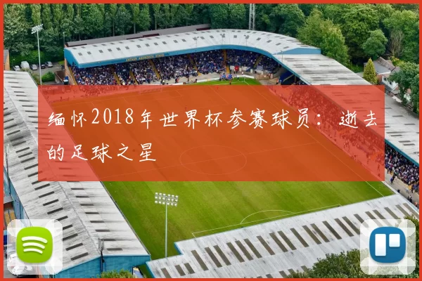 缅怀2018年世界杯参赛球员:逝去的足球之星
