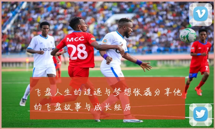 飞盘人生的追逐与梦想张磊分享他的飞盘故事与成长经历