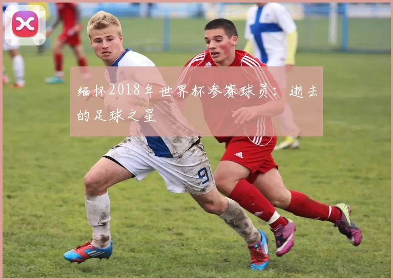 缅怀2018年世界杯参赛球员：逝去的足球之星