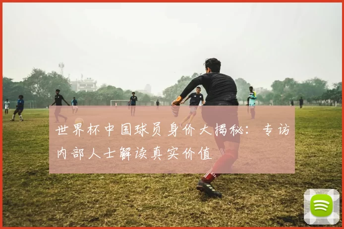 世界杯中国球员身价大揭秘：专访内部人士解读真实价值