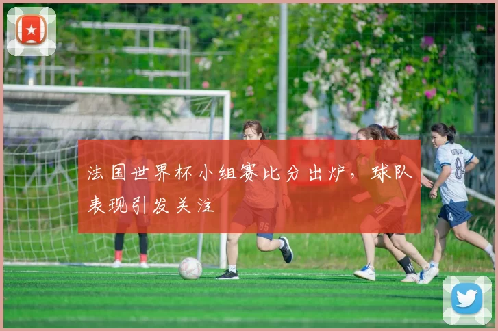 法国世界杯小组赛比分出炉,球队表现引发关注