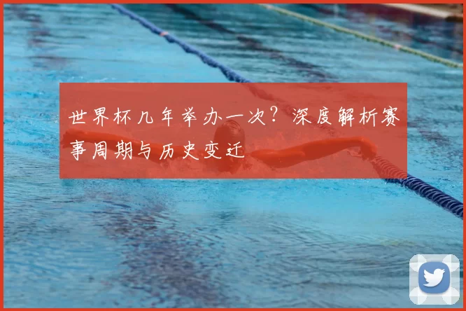 世界杯几年举办一次?深度解析赛事周期与历史变迁