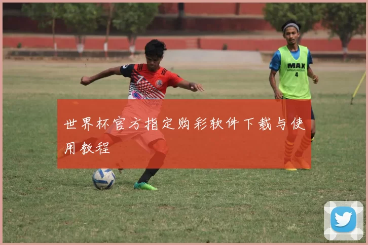世界杯官方指定购彩软件下载与使用教程